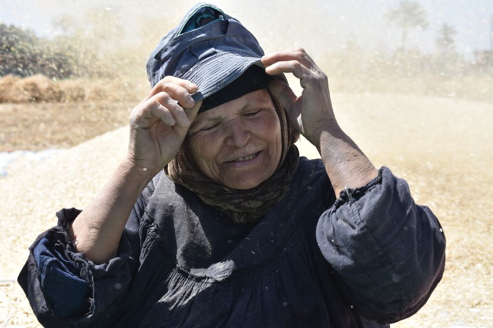 Photograph by  loai zedan