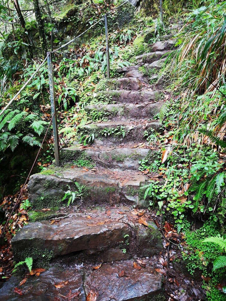 Фотография автора Ian Heard