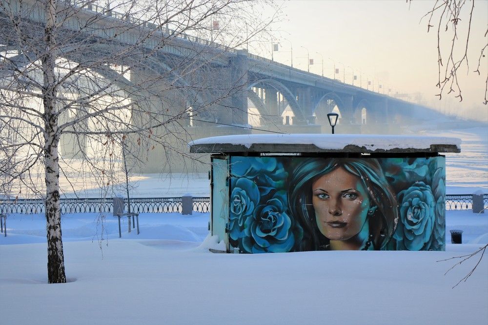 Зимним днём