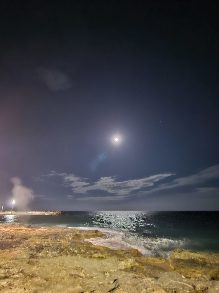 Человек и птица.