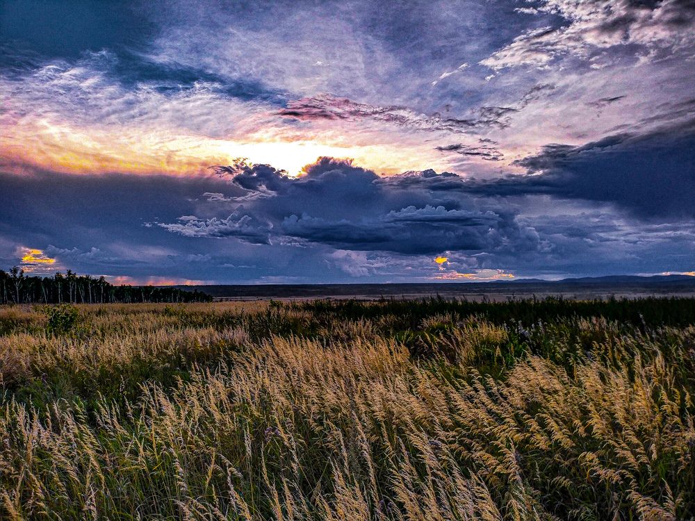 Photograph by Алексей Егоров