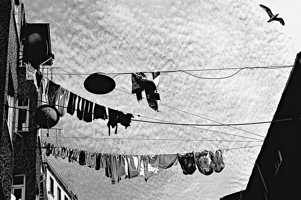 Photograph by George Stournaras