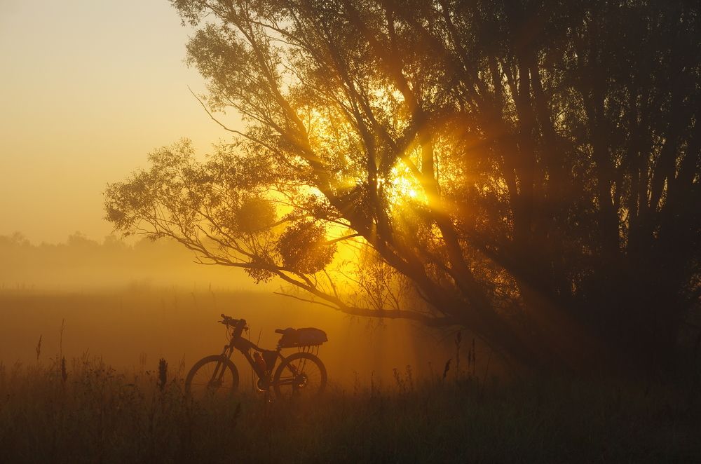 Photograph by Шляга Сергей