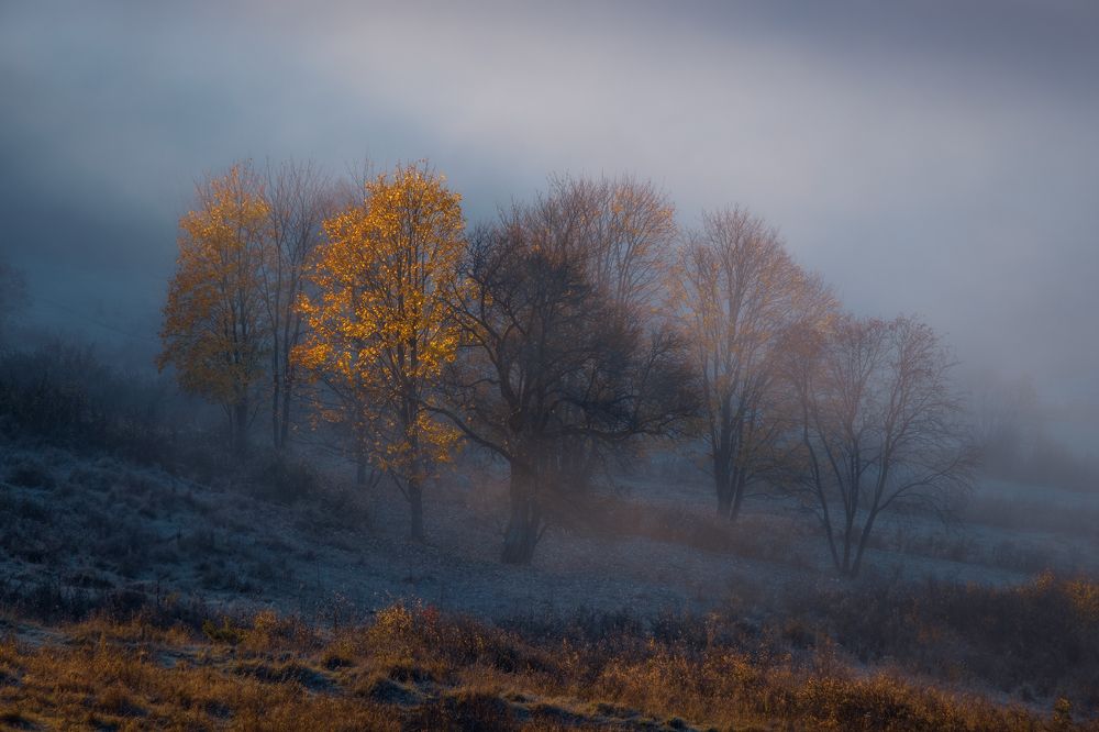 Photograph by Lubomir Perunko