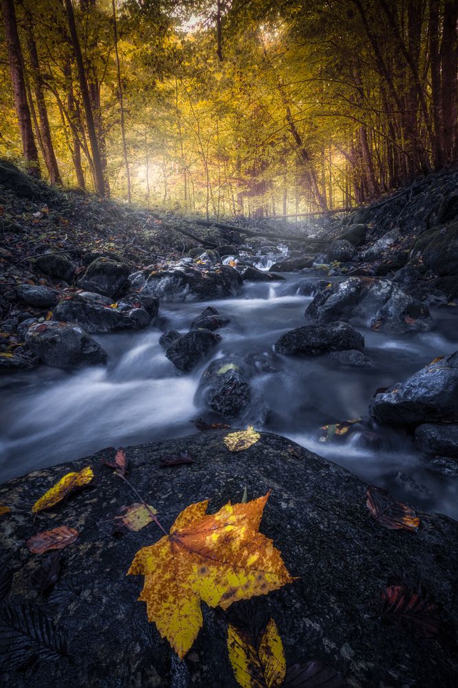 Photograph by Lubomir Perunko