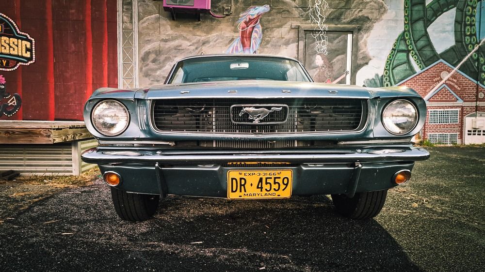 Photograph by Ljudmilla Pavljutsenkova