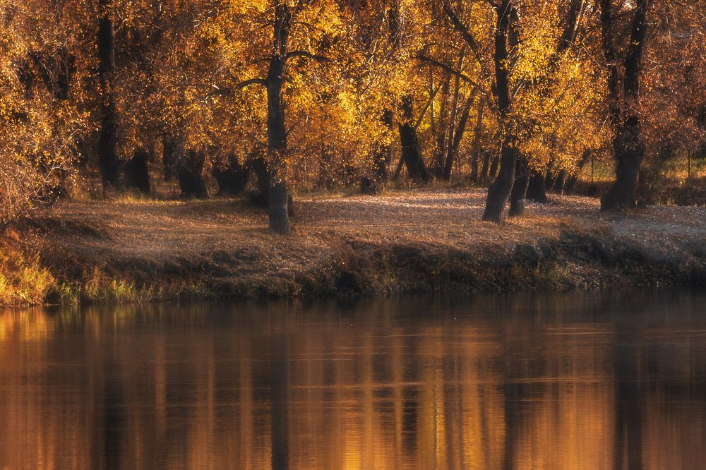 Photograph by Илья Толстоноженко