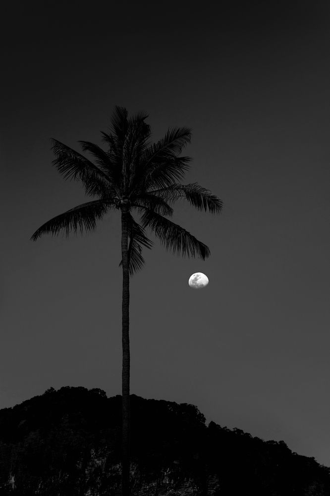 Photograph by Илана Шалакина