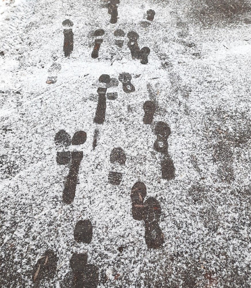 Фотография автора Елена Пикатова