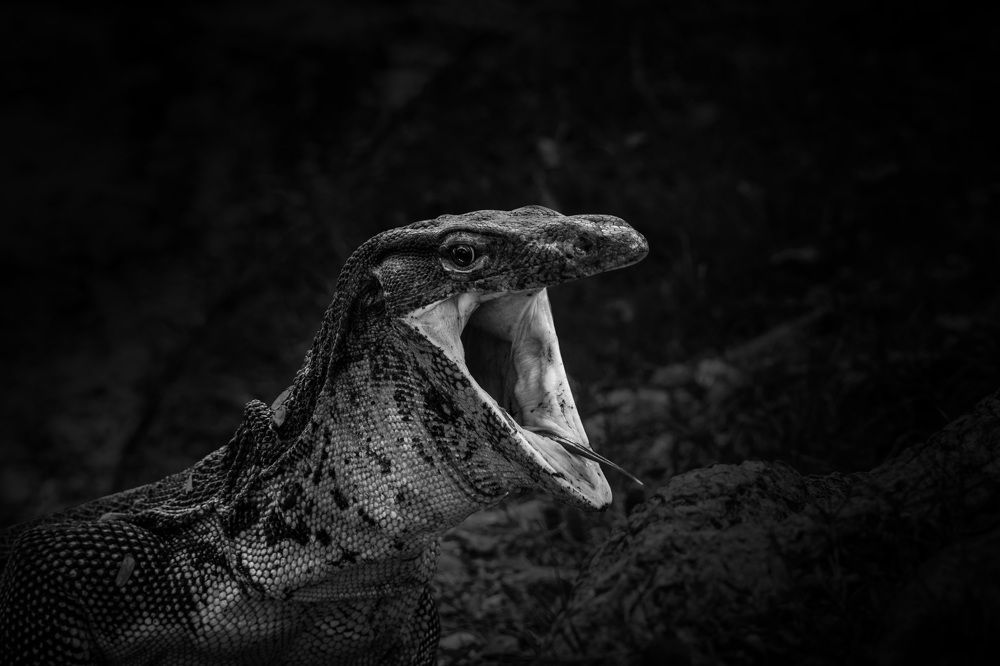 Photograph by Илана Шалакина