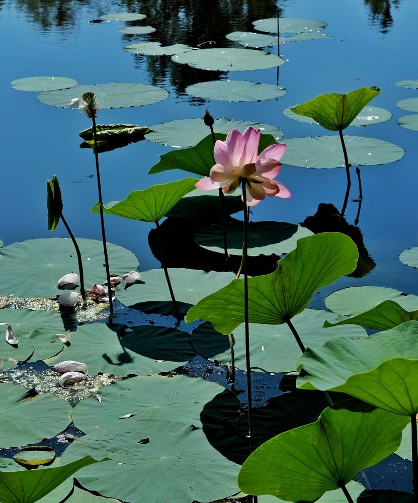 Photograph by Сергей Кошин