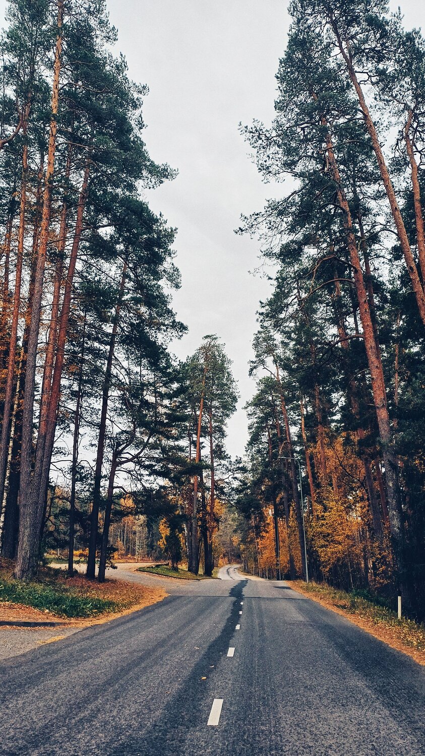 Photo #11279543