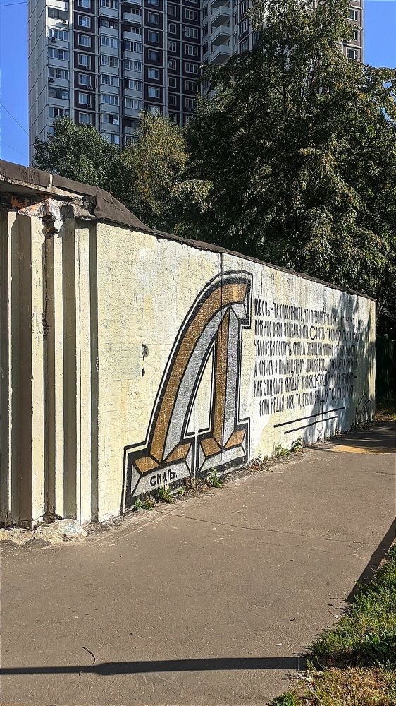 Фотография автора Васильева Ирина