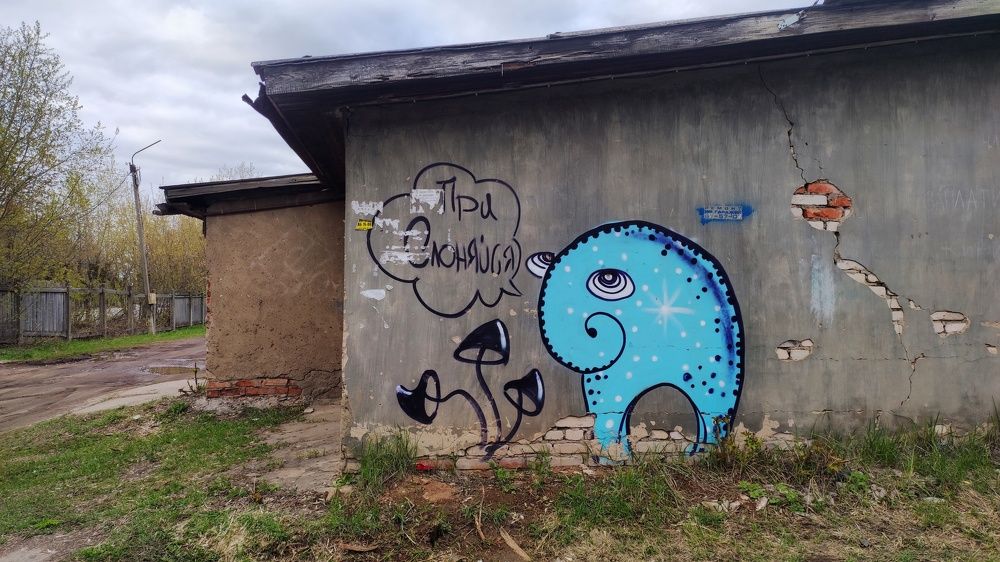 Photograph by Калюнова Наталья