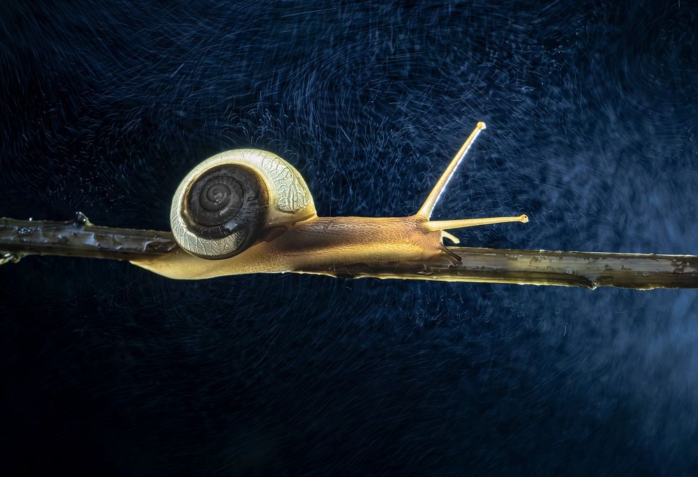 Photograph by Hardik Shah