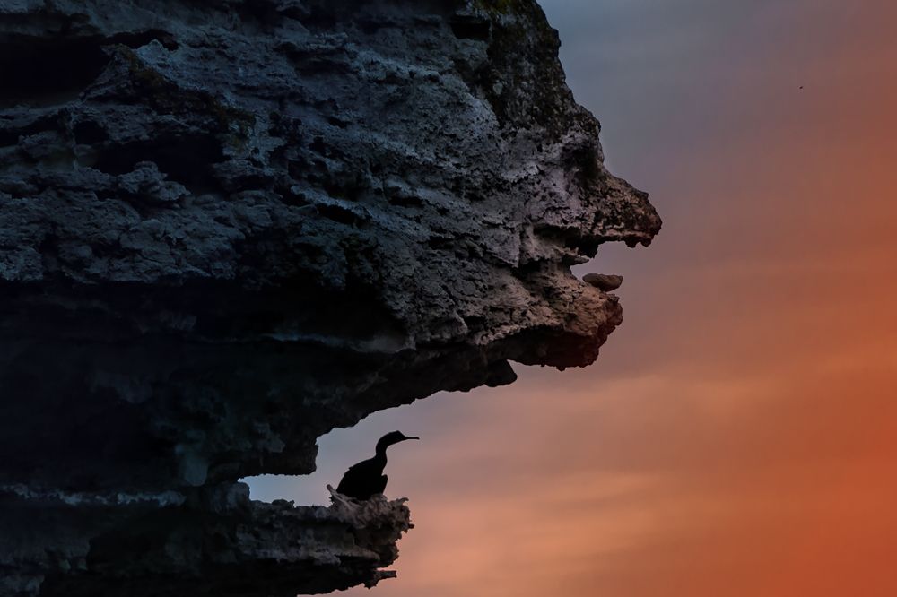 Каменный демон