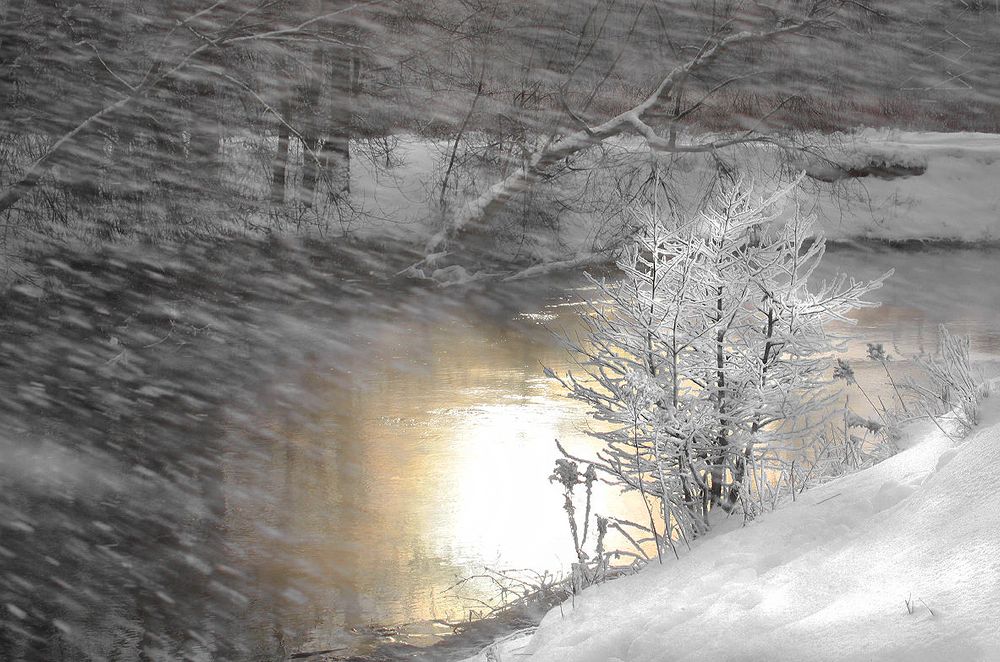 Иней на ветру