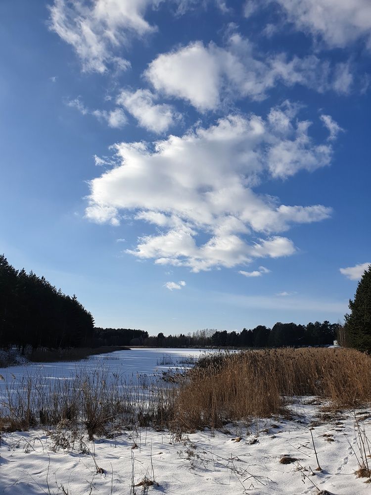 Фотография автора Ирина
