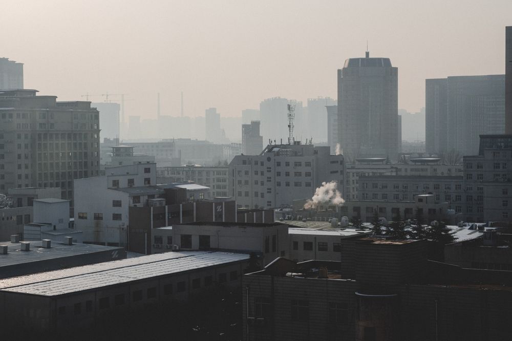 Photograph by Ahmadjon Mamirjanov