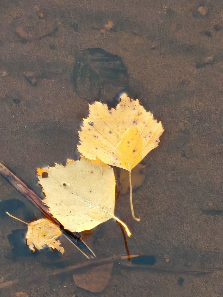 Photograph by Михаил Юрьевич