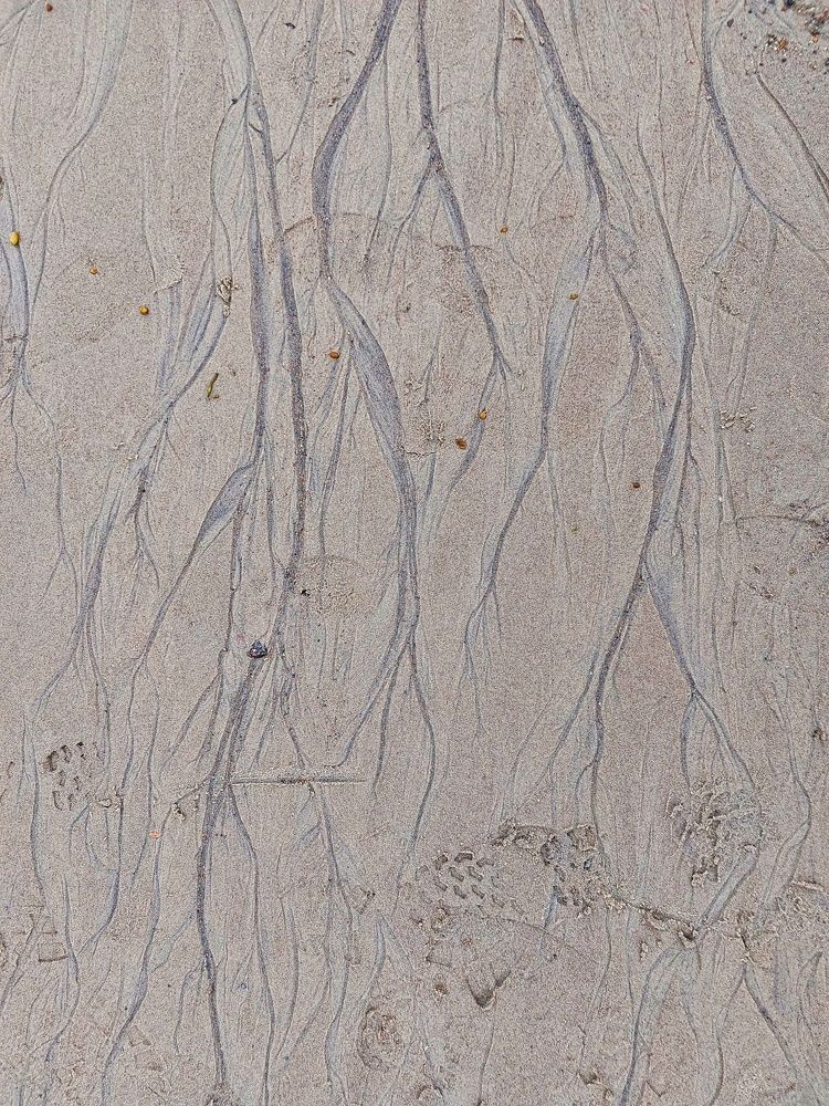 Photograph by Ксения Цветкова