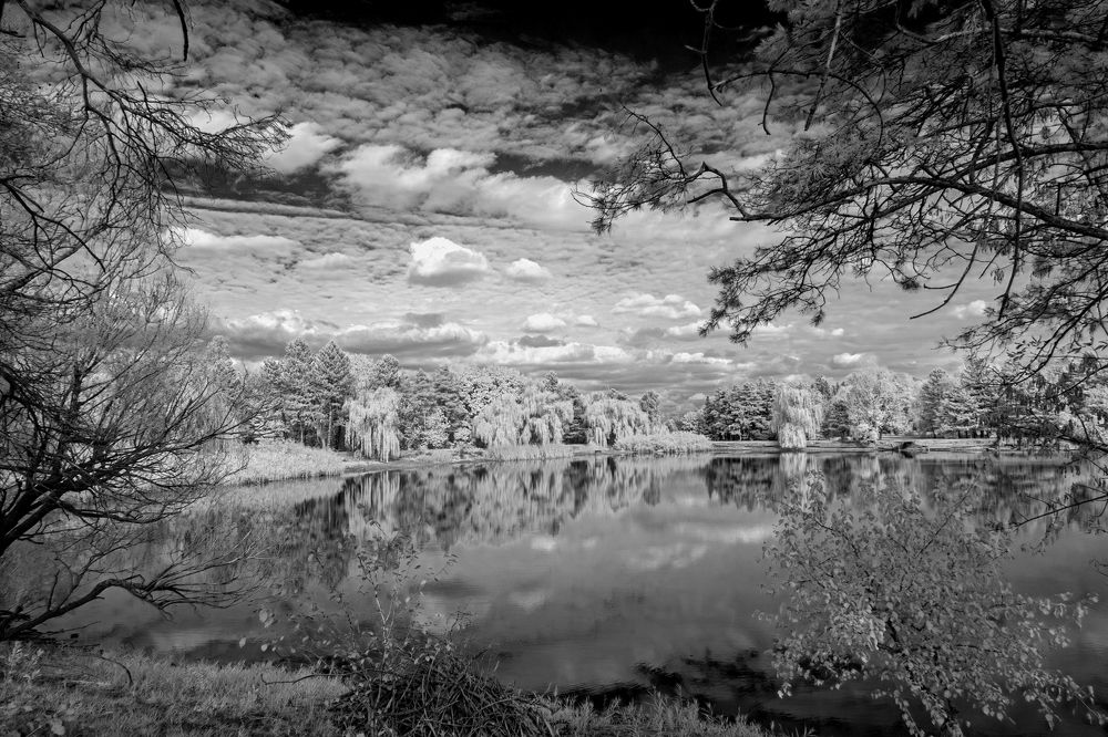 Photograph by Сергей Христинич