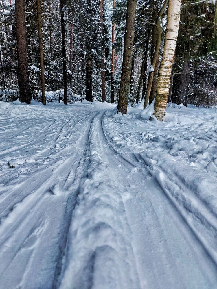 Photograph by Ксения Цветкова