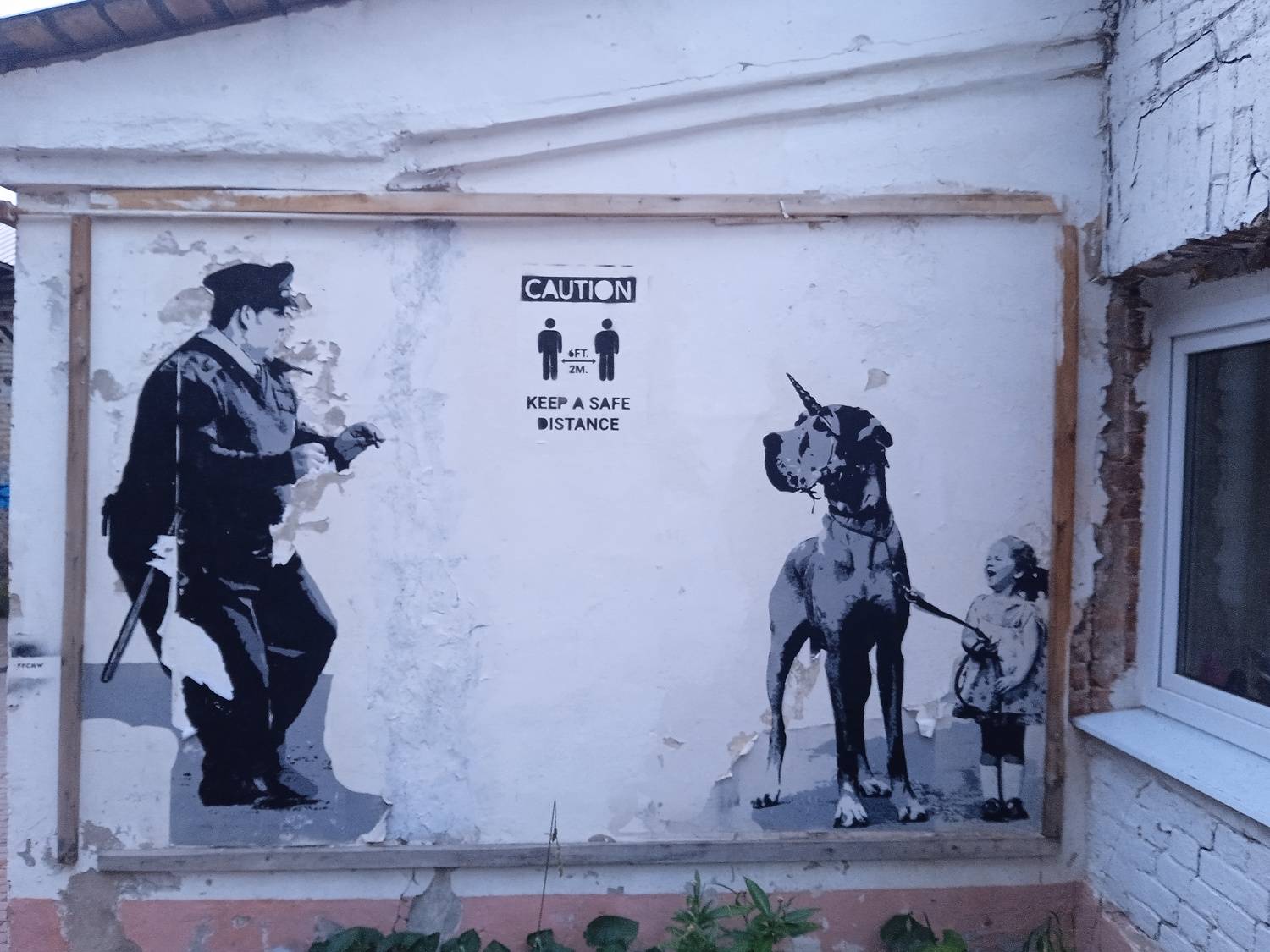 Photo #11279704
