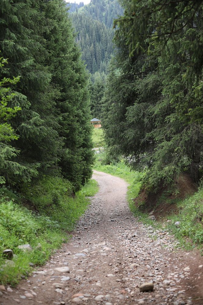 Photograph by Екатерина Журавлева