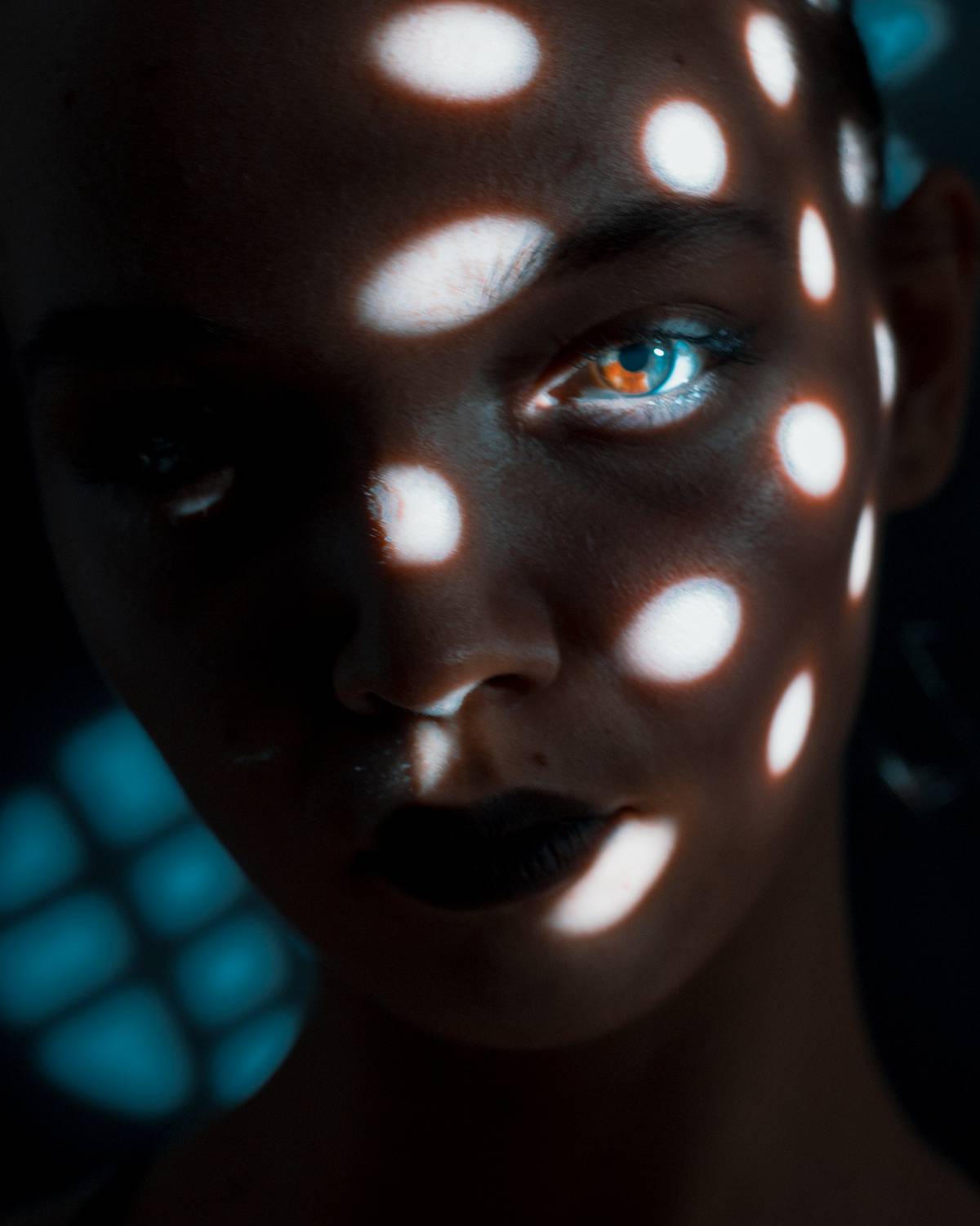 Фотография #11279739