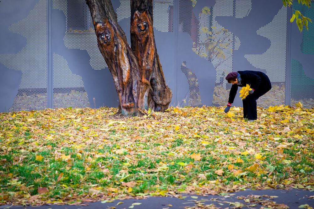Photograph by Владимир Говоров