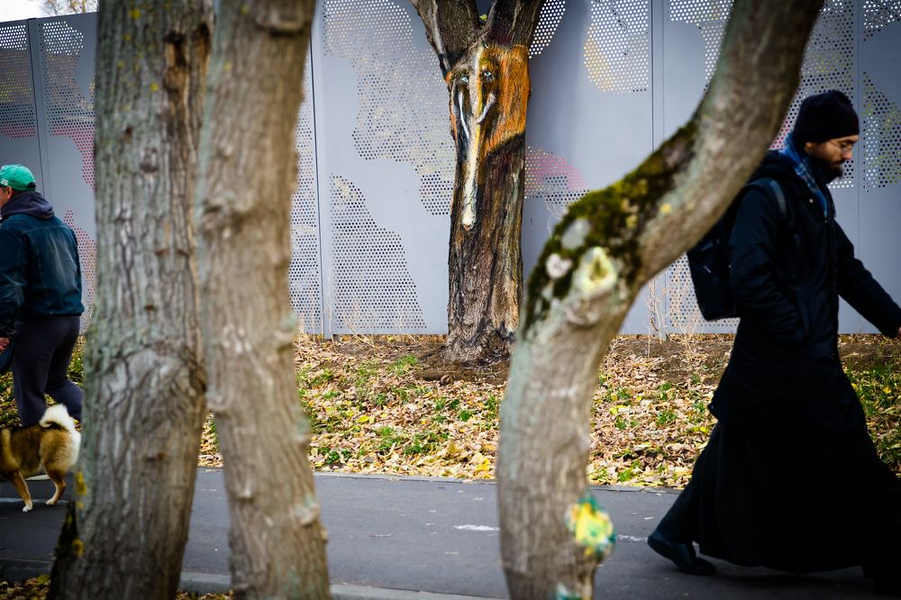 Photograph by Владимир Говоров