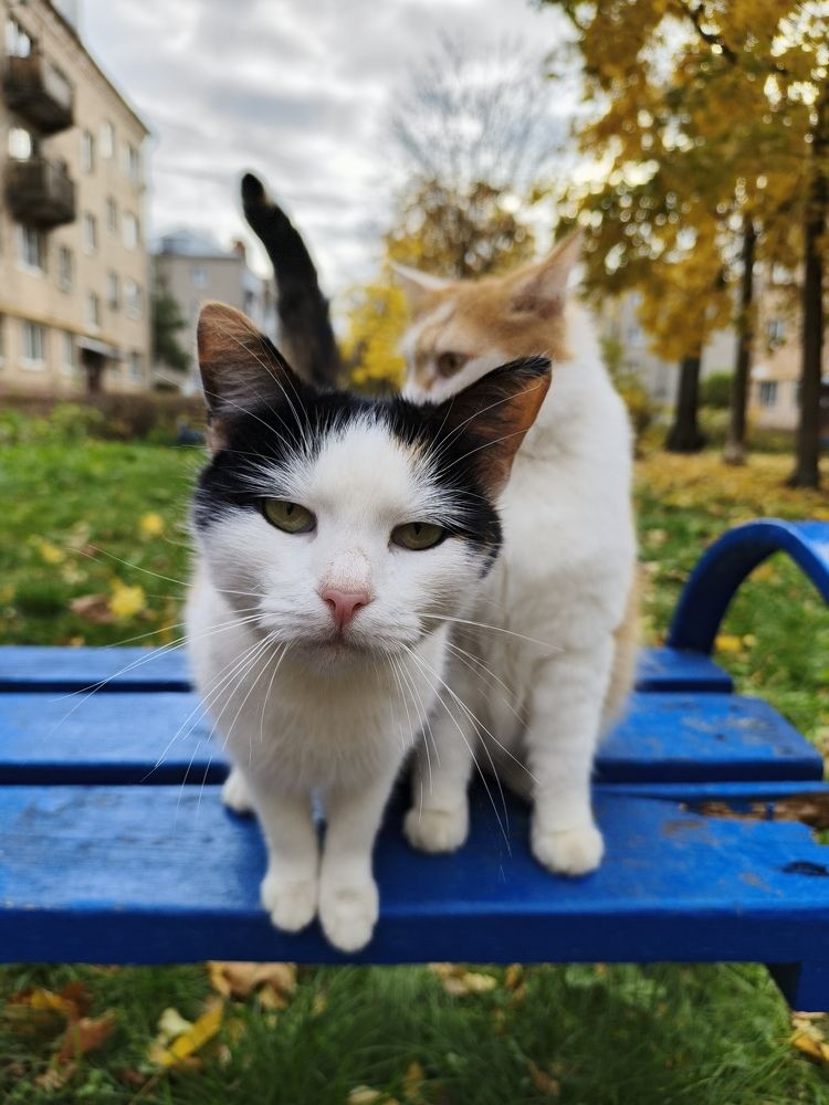 Photograph by Наталья Яковлева