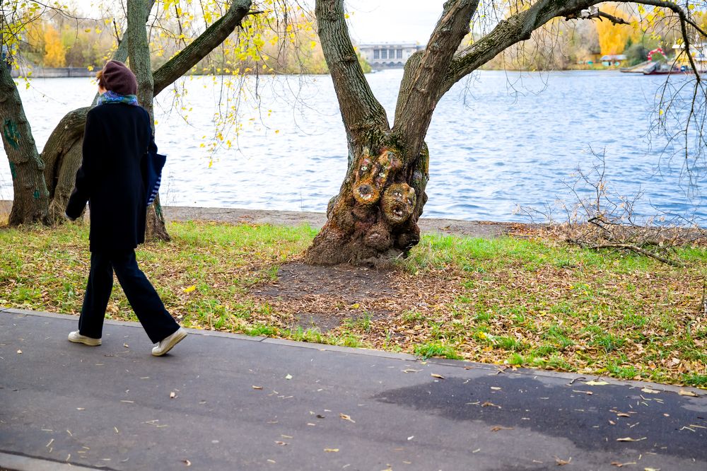 Photograph by Владимир Говоров