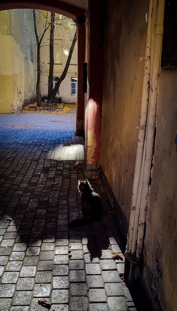 Photograph by Pavel Gukov