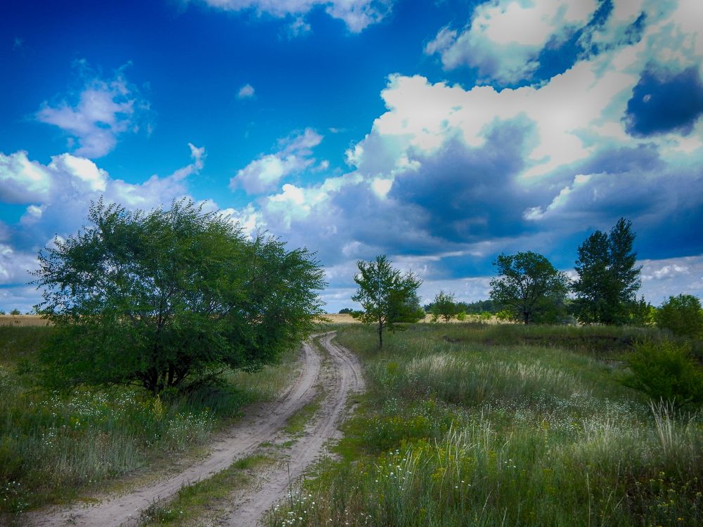 Фотография автора Валерий Цуркан