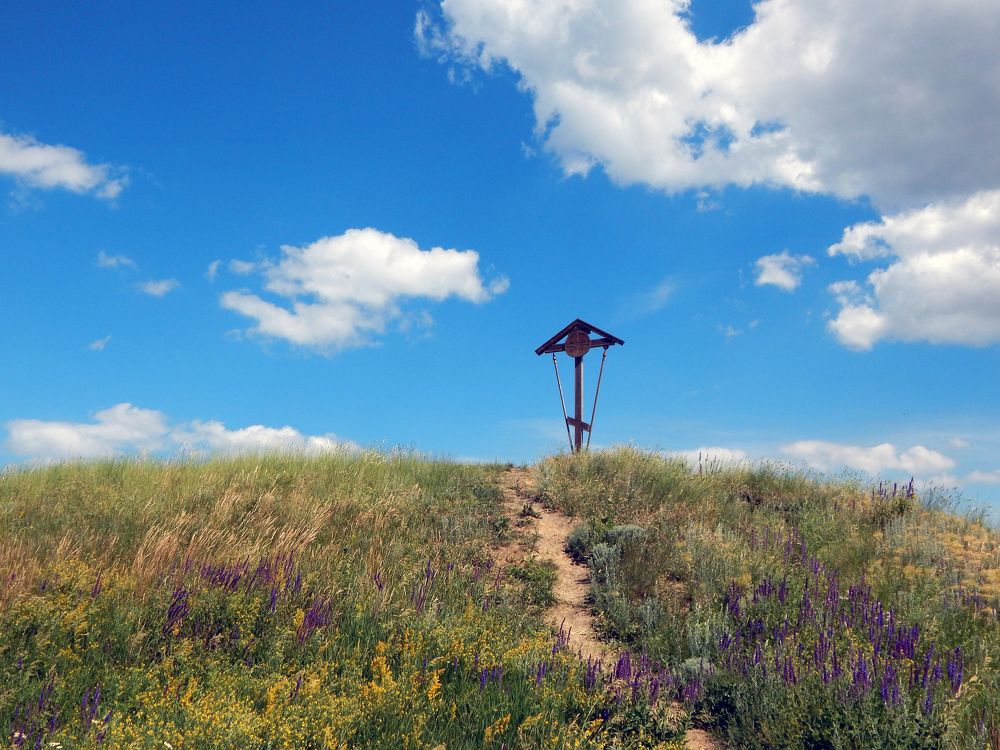 Фотография автора Валерий Цуркан