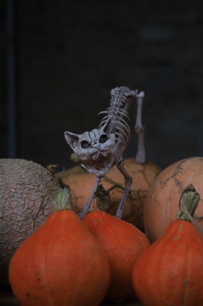 Фотография автора Uljana Kuchar