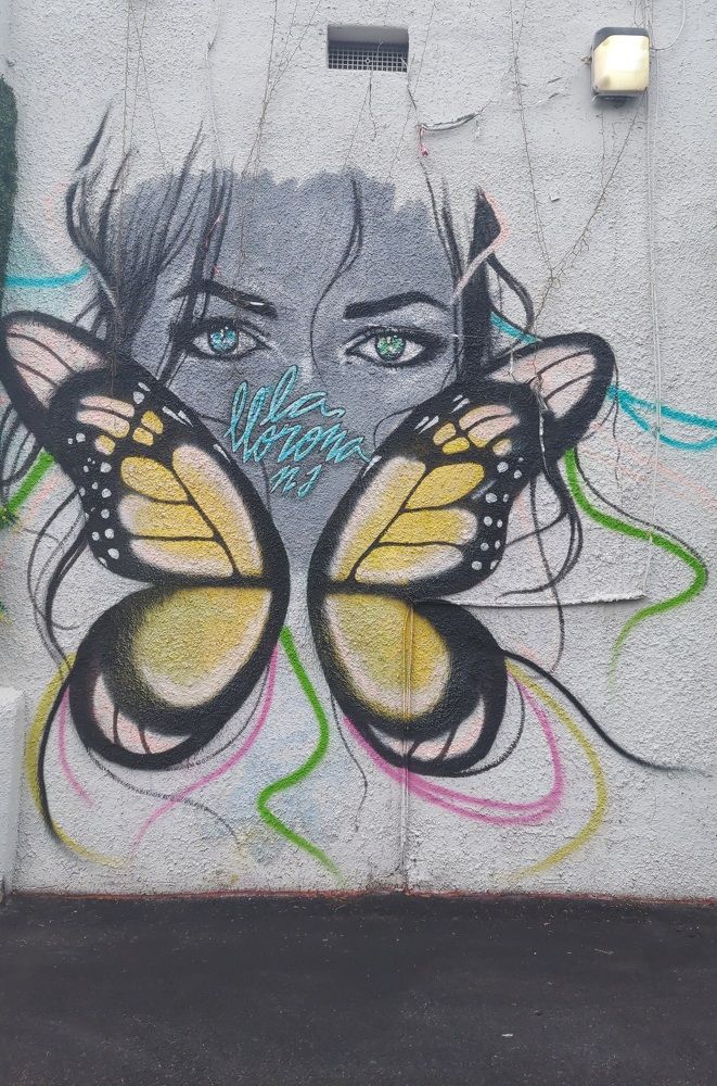 Фотография автора Adriana Rocha