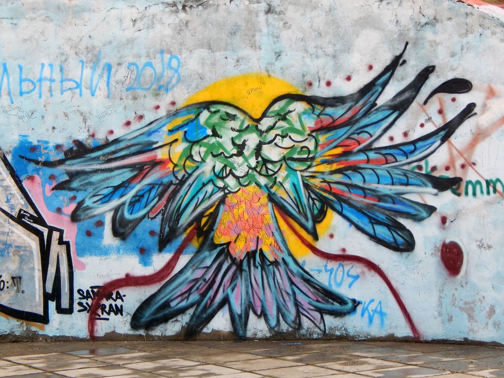 Фотография автора Валерий Цуркан