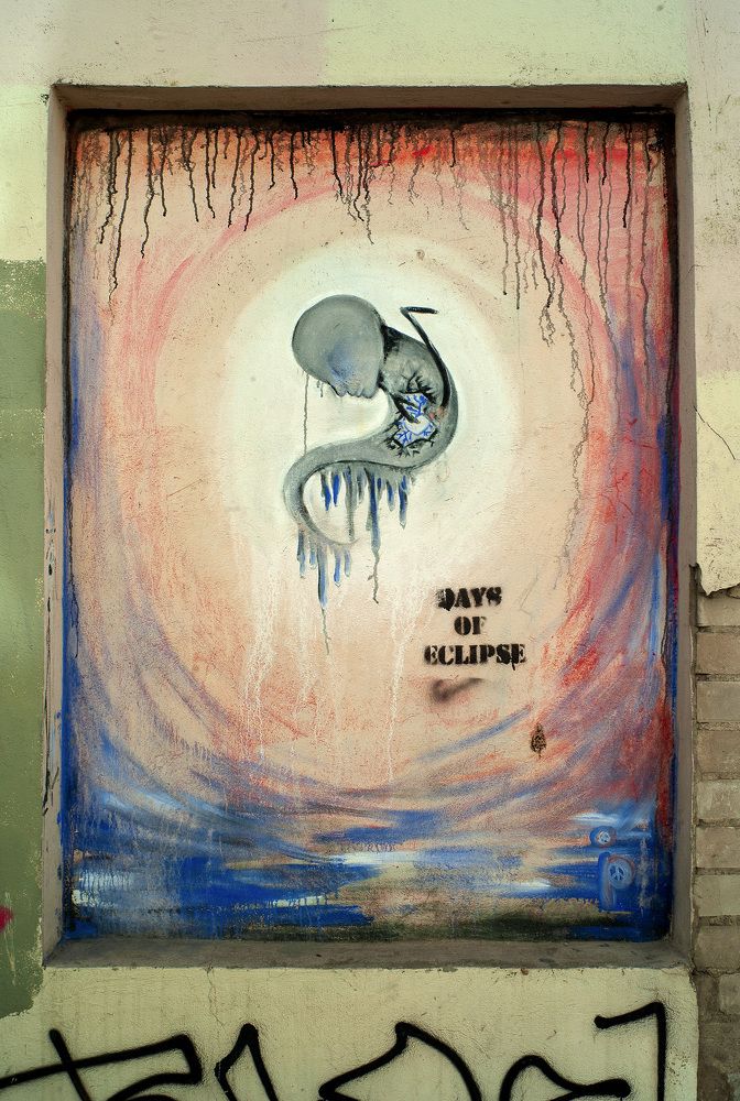 Photograph by Алексей Заморкин