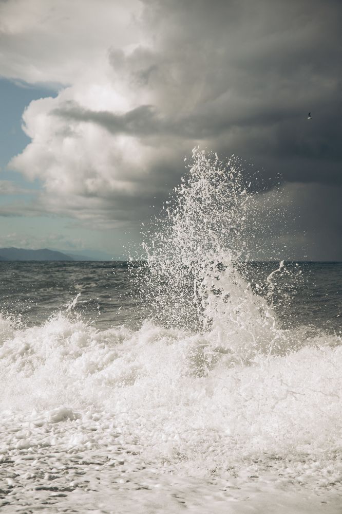 Photograph by Мария Корвин-Кучинская