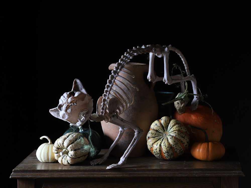 Photograph by Uljana Kuchar