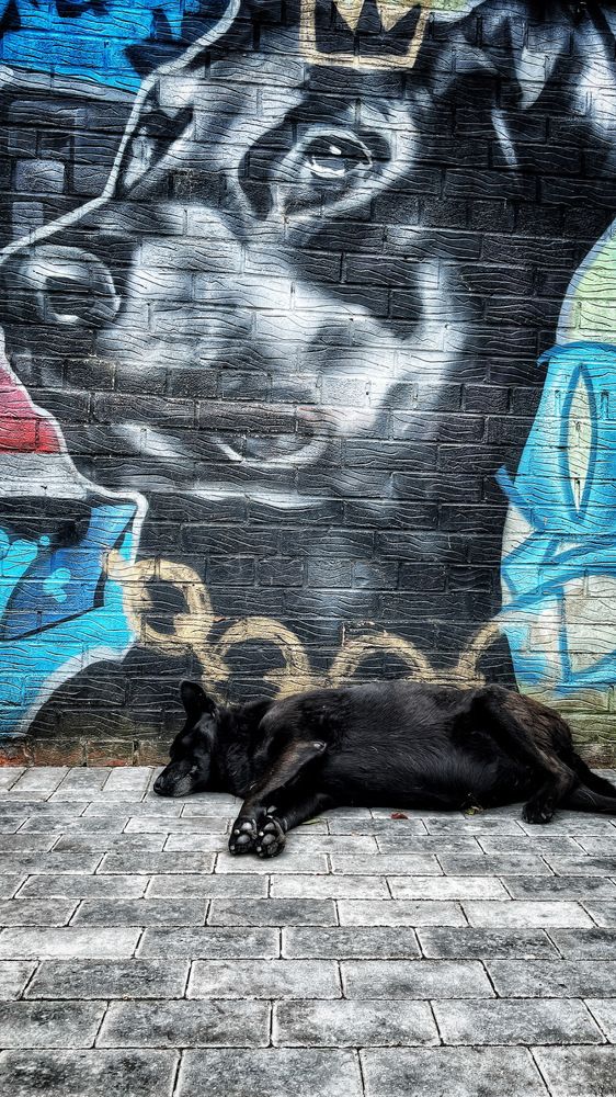 Photograph by Вадим Ершов