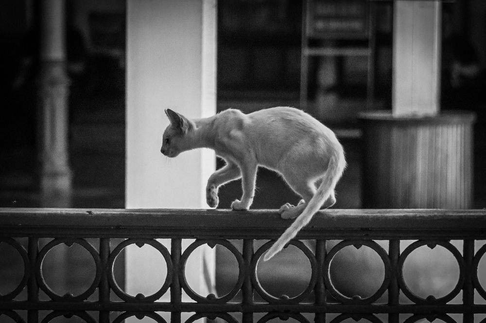 Photograph by Anton Krol