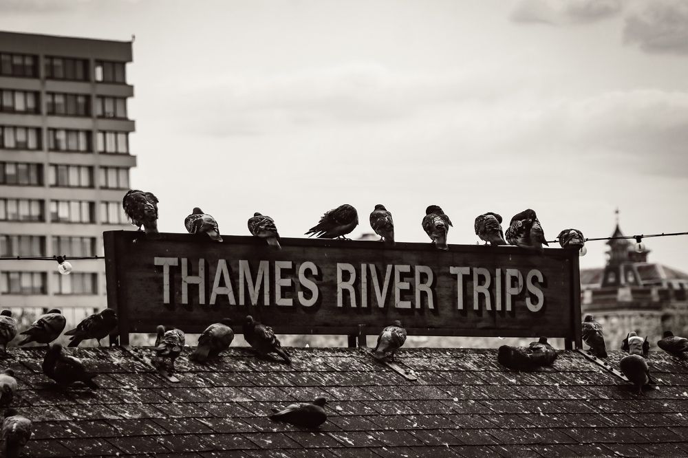 Photograph by Anton Krol