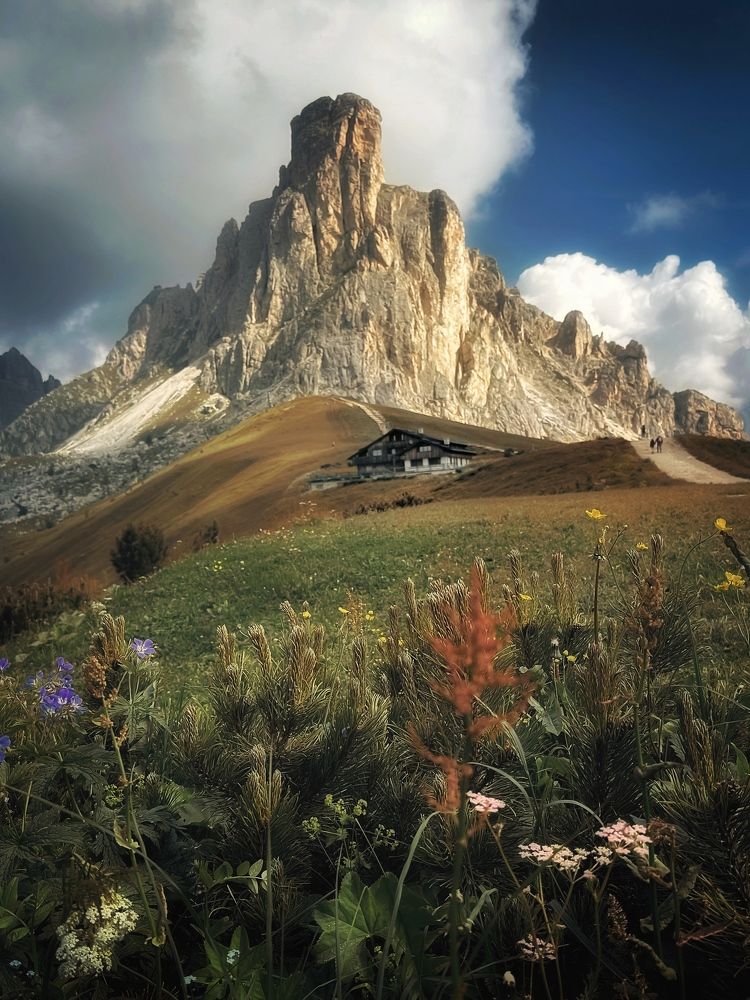 Фотография автора Henri Fitriadi