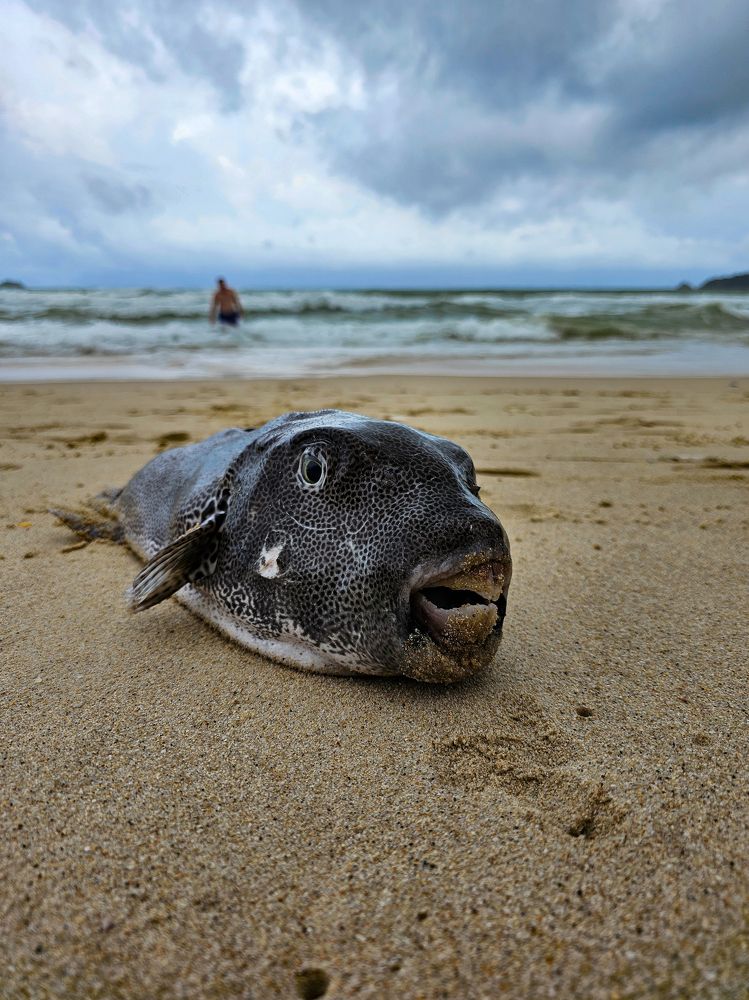 Photograph by Мария Корнилова