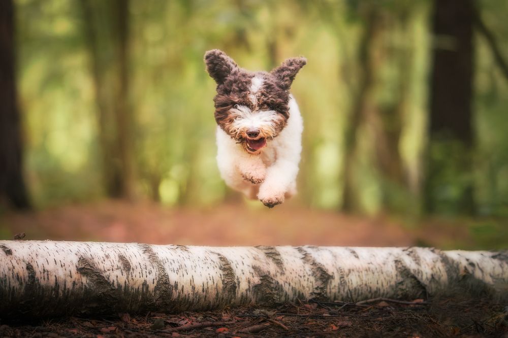 Photograph by Dmitry Ishniyazov