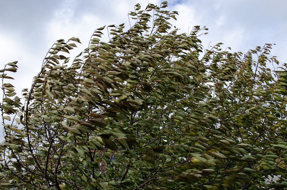 Photograph by Римма Волченко